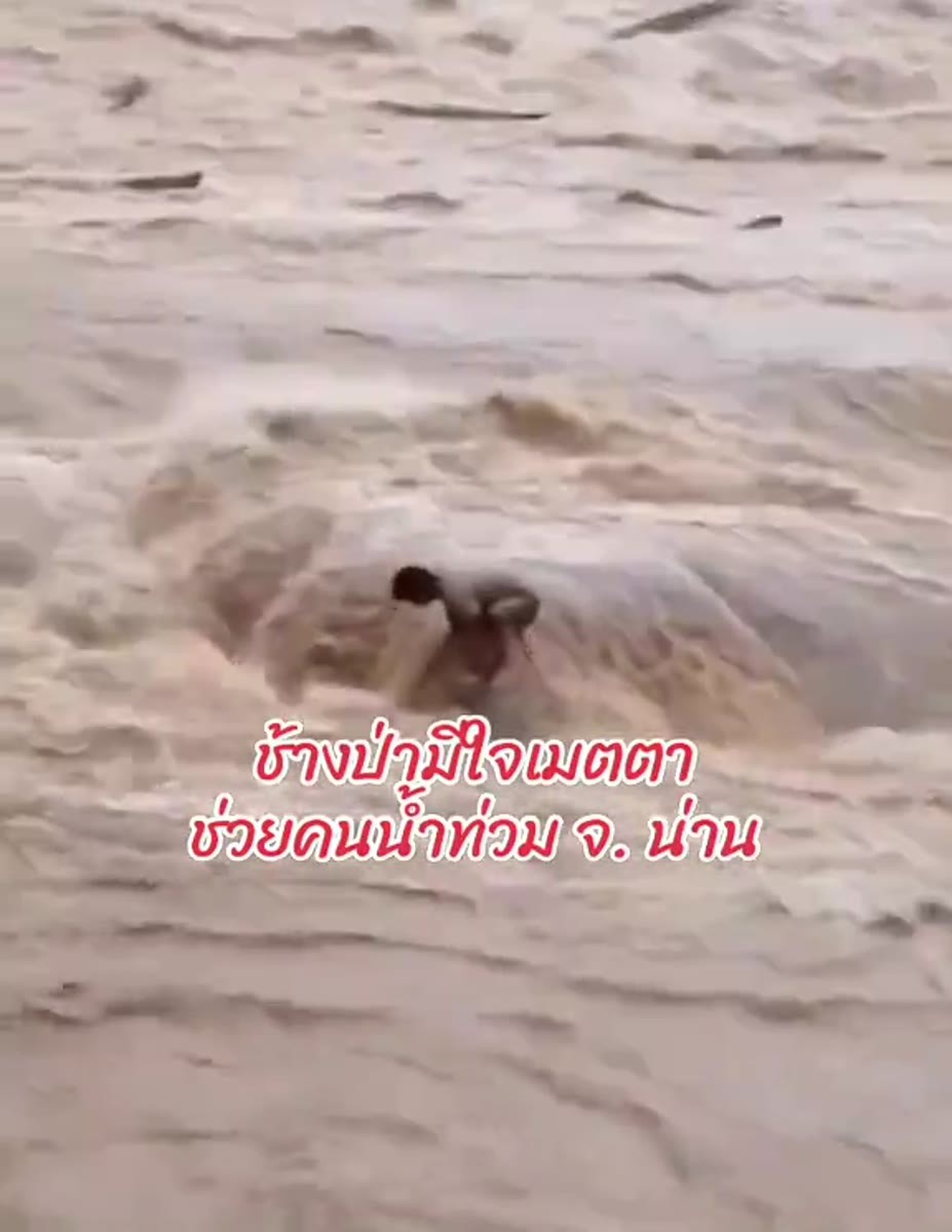 เครดิตภาพ: TikTok: รปภ.ขอร้อง (นพ หนองกู) (@nopnonggu)